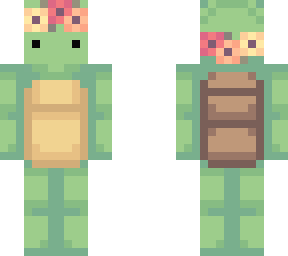 turtle cutie