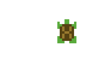 a turtle