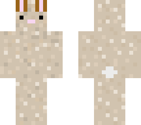 bunny / lapin