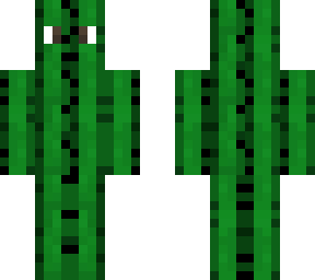 undercover cactus