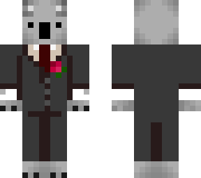 koala elegante