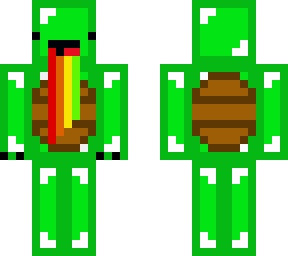 turtle skeppy
