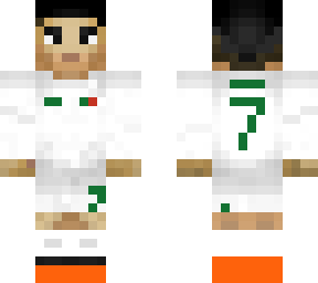 Mcpe | Minecraft Ski   ns