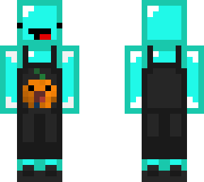 skeppy overalls 2