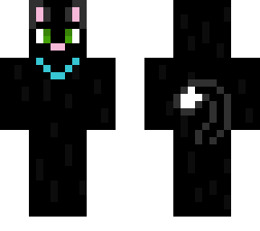 black cat with collar