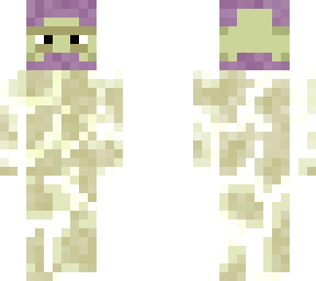 shulker on endstone