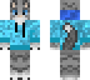 cat with hoody (2)