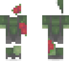 ob: poinsettia