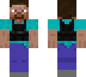 swat steve