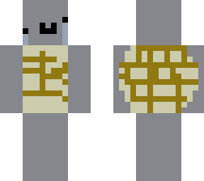 gray turtle