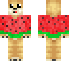 water melon doge