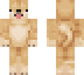 doge skin