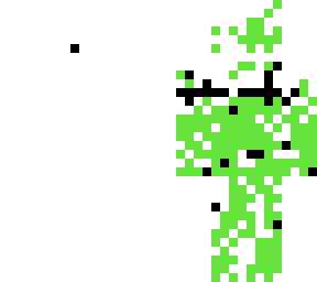 crazy skin