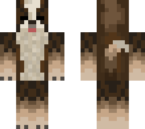 saint bernard