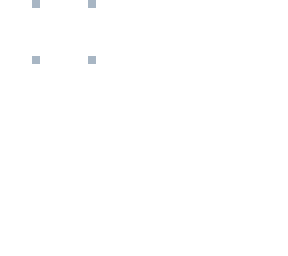chiter skin