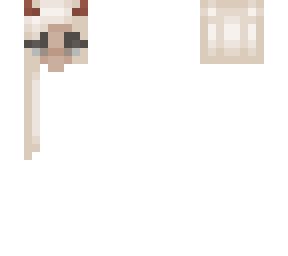 skin base