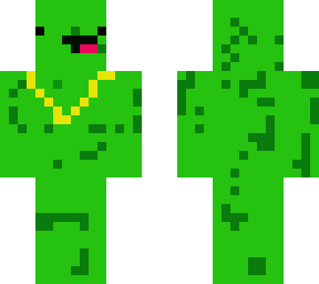 swag turtle