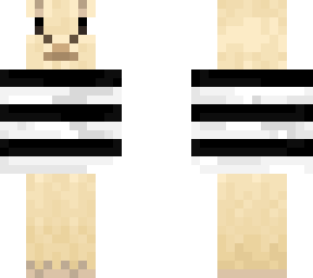 llama with b&w sweater