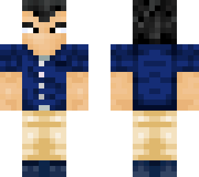 vegeta 4.0