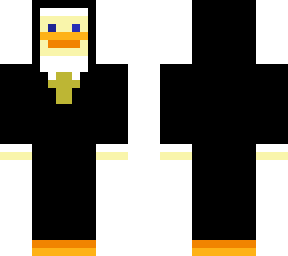 duck nun