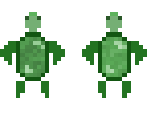 a turtle to you