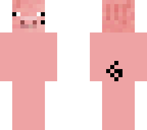 pig