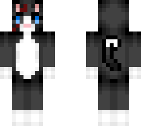 calvincatplay