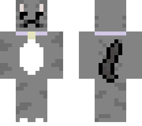 angry cat
