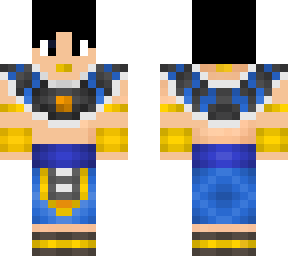 skin