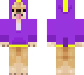 corgi with purple hoodie