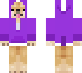 corgi with purple hoodie white highlights