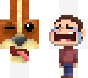 lost pet -contest