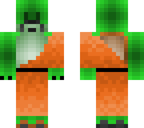 turtle monk