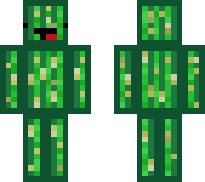 skeppy cactus