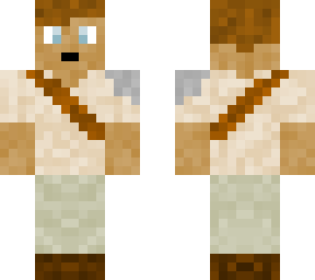 wasteland survivor