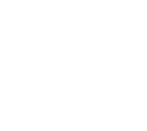 botibot