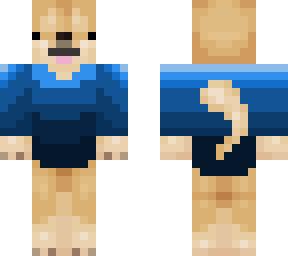 blue shirt shiba inu