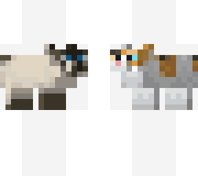 cats - the musical