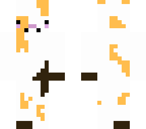 calico cat