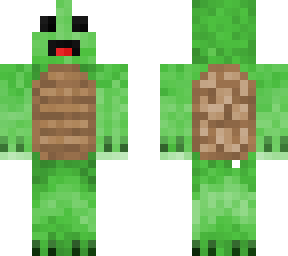 turtle