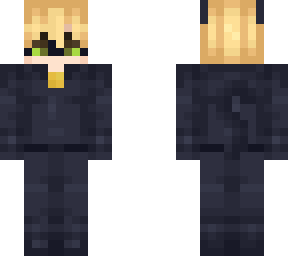 chat noir