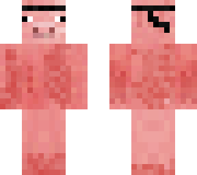 ninja pig