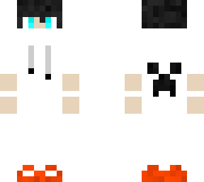 fsa
