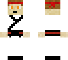 taekwondo dude