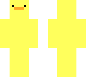 a duck