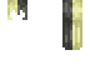 base de pelo