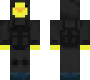 stealth duck? (2)