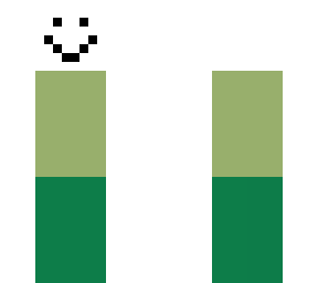 roblox skin
