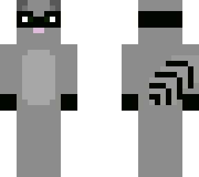 a racoon