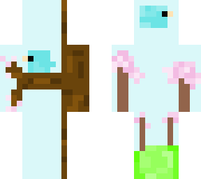 blossom